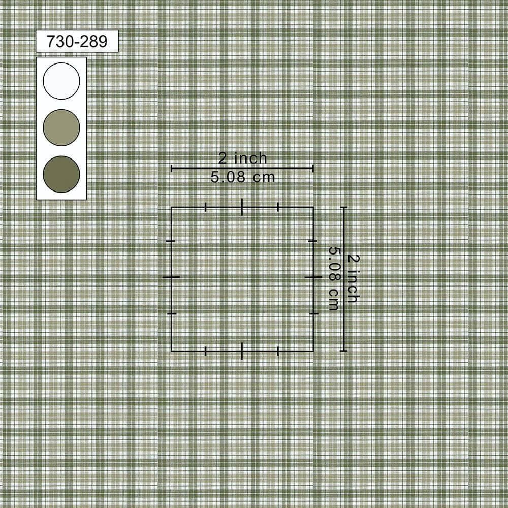 Mehndi Green & Off White Casual Check Pima Cotton Shirt Fabrics 730-289 - Image 2